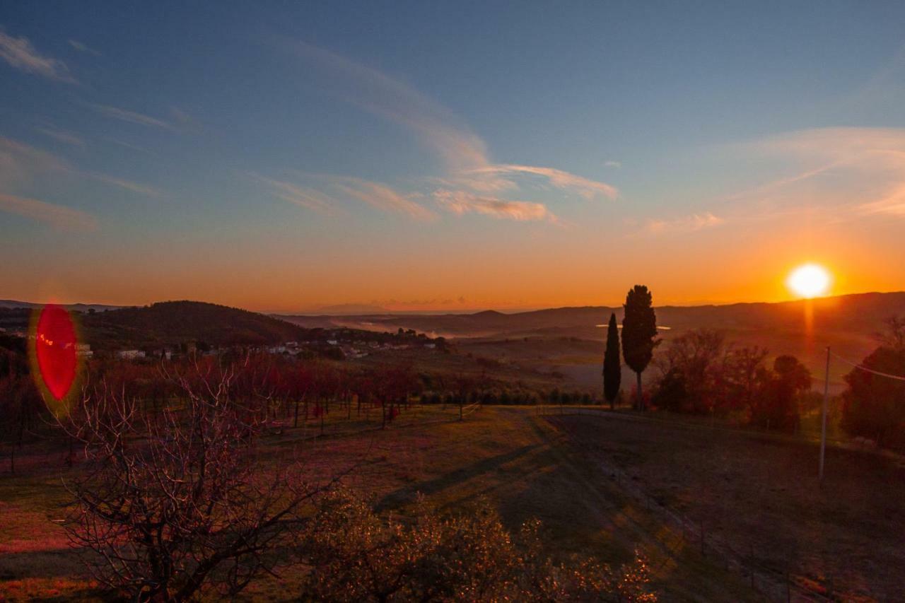 Vila Agriturismo Le Vignacce Santa Luce Exteriér fotografie